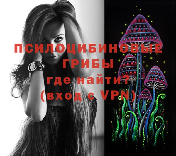 таблы Богданович