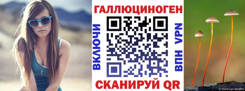 купить   Благовещенск  Псилоцибиновые грибы MAGIC MUSHROOMS 