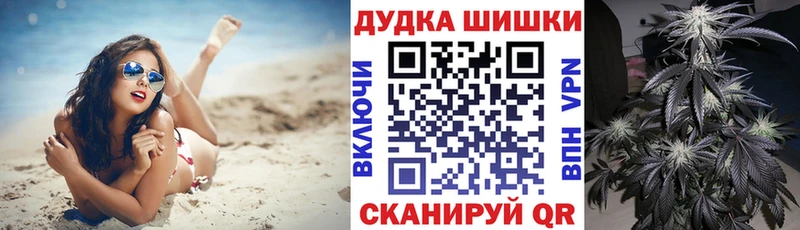 Каннабис план  купить закладку  Благовещенск 